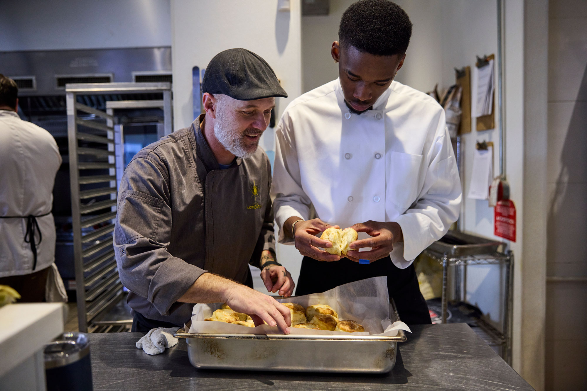 The Momentum Model Operating Principles